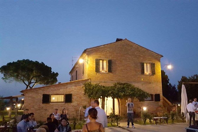 Enjoy a meal with wine tasting in the vineyard of Podere Casanova - The winery visit comes first