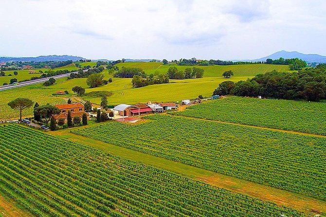 Enjoy a meal with wine tasting in the vineyard of Podere Casanova - Arriving at Podere Casanova near Montepulciano