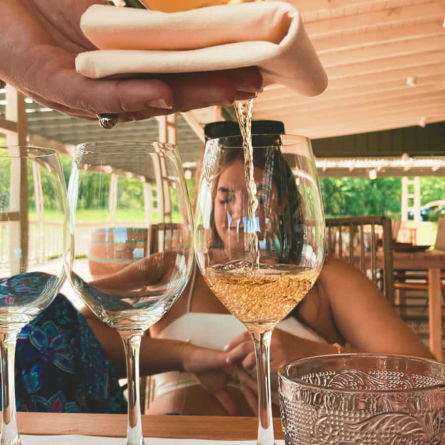 Enjoy a Rural Experience in a Vineyard near Buenos Aires - Should you book Casa Gamboa?