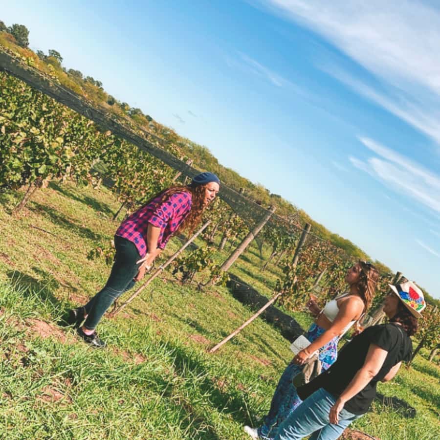 Enjoy a Rural Experience in a Vineyard near Buenos Aires - Leaving Buenos Aires for Campana