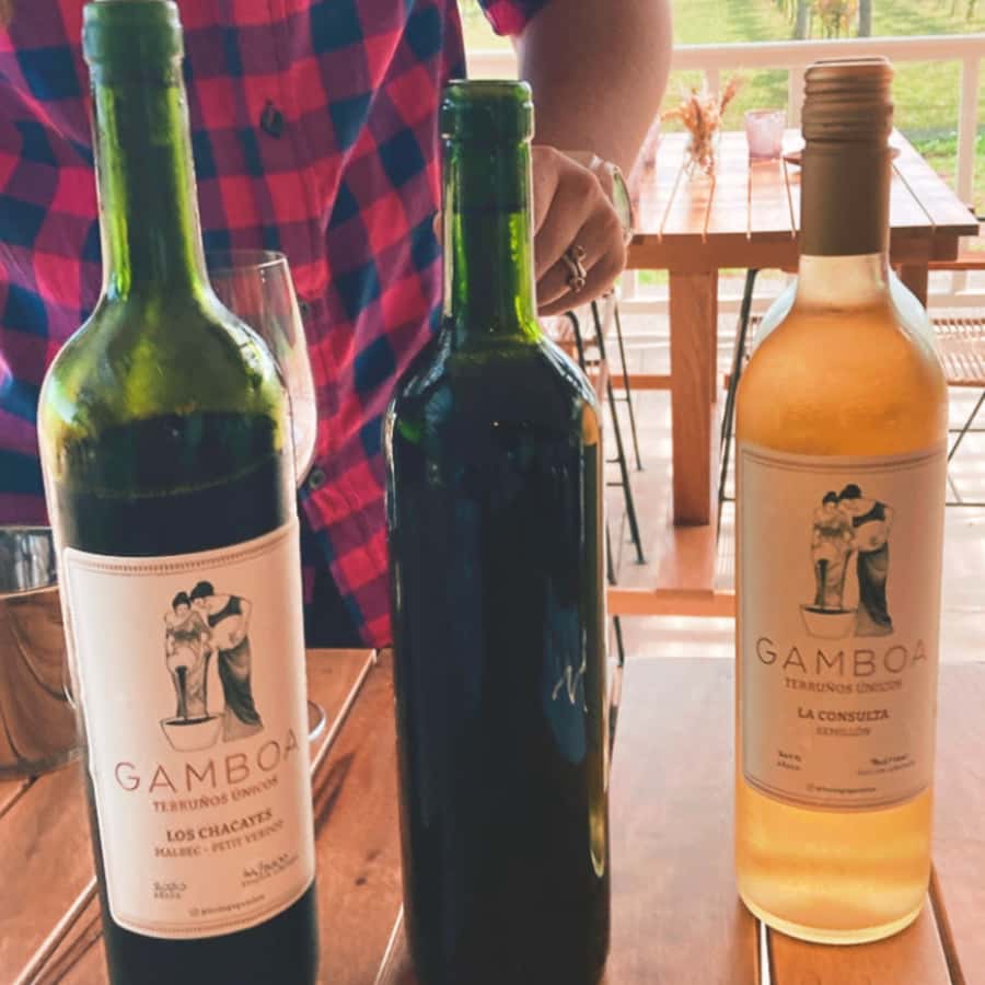 Enjoy a Rural Experience in a Vineyard near Buenos Aires - Walking through the vines and cellar