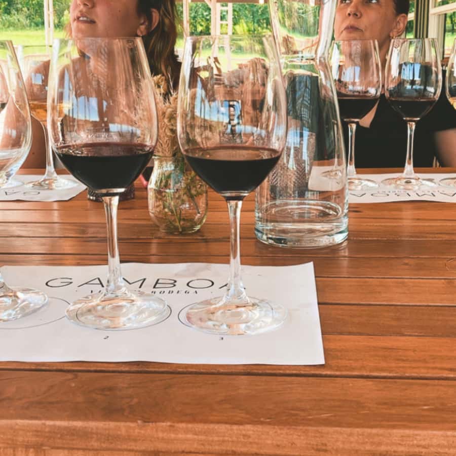 Enjoy a Rural Experience in a Vineyard near Buenos Aires - A four-course lunch in the countryside