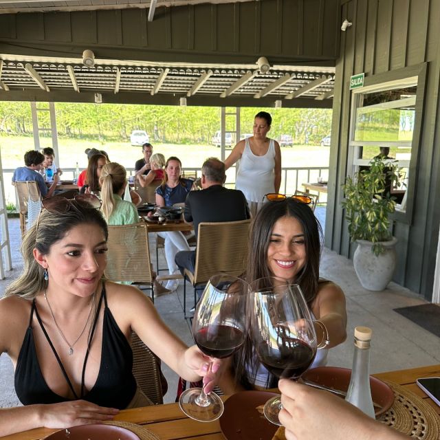 Enjoy a Rural Experience in a Vineyard near Buenos Aires - Heat, comfort, and the pace of the day