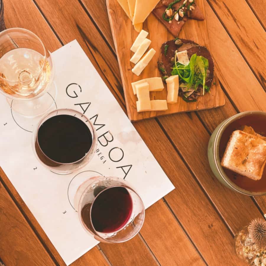 Enjoy a Rural Experience in a Vineyard near Buenos Aires - Arriving at Casa Gamboa’s five hectares