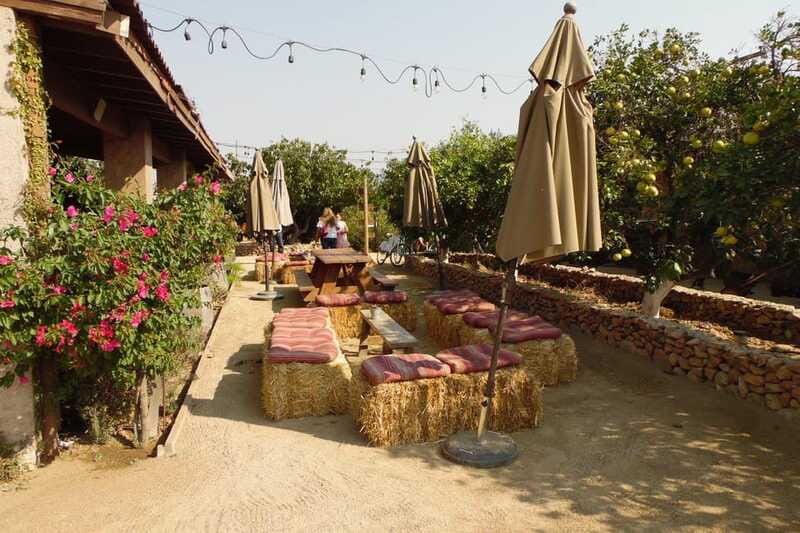 Ensenada: Guadalupe Valley Wine Route Private Tour - Guides, pace, and the private advantage