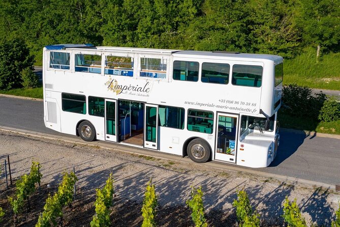 Epernay and Vineyards with Champagne Tasting - A party bus through Champagne country