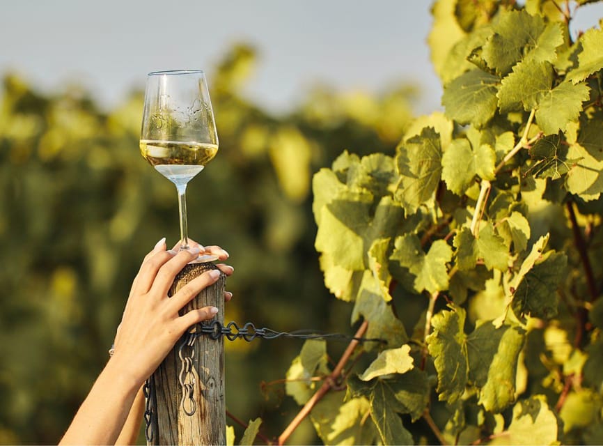 Ercolano vineyards, view cellar wine tasting and brunch - What makes this Ercolano tasting worth your time
