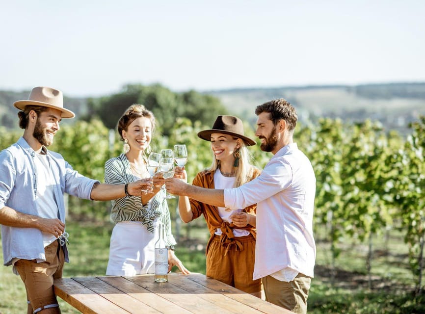 Ercolano vineyards, view cellar wine tasting and brunch - Starting at the Ercolano vineyard