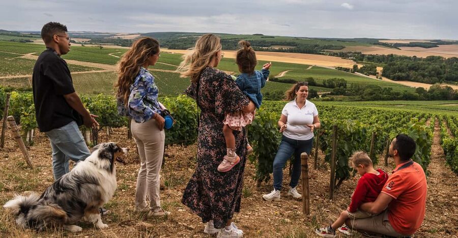 Escapade and tasting in the Chablis vineyards - What the terroir lesson adds to your glass