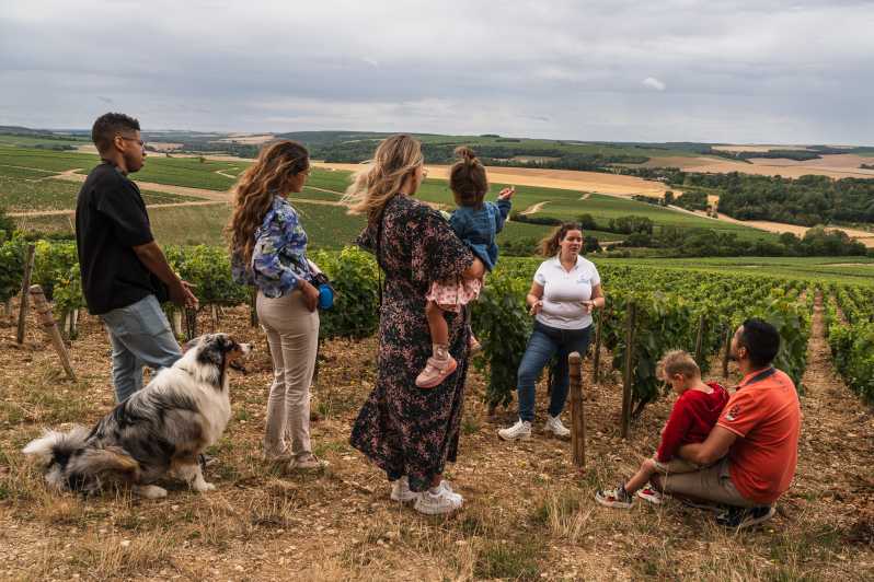 Escapade and tasting in the Chablis vineyards - Five plots, five chances to understand Chablis