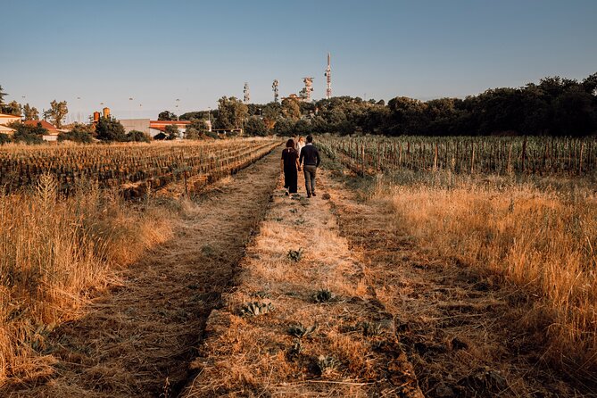Etna Urban Winery - Sunset vineyard Walk and Tasting Dinner - Who should book this experience?