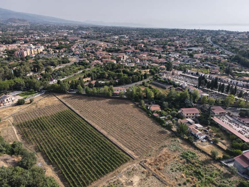 Etna Urban Winery, Vineyard Walk & Sunset Tasting Dinner - Four Etna Wines And Chef Leonardo’s Pairings