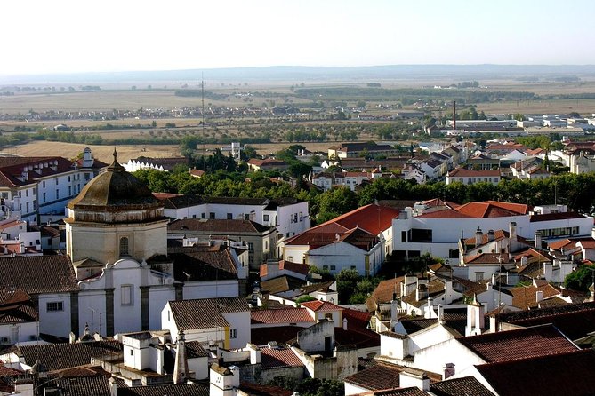 Evora & Alentejo Wine Region Private Luxury Tour - Why this private day trip works