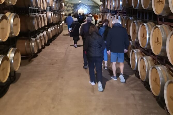 Évora Private Tour - Cork Factory and Wine Estate Included - The Roman Temple and Évora’s ancient center