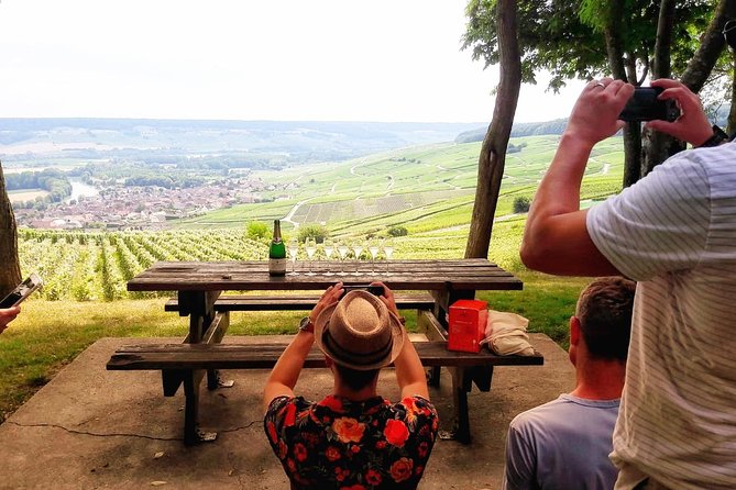 Exclusive Champagne Cellars & Dom Perignon Vineyards tour - Key points at a glance