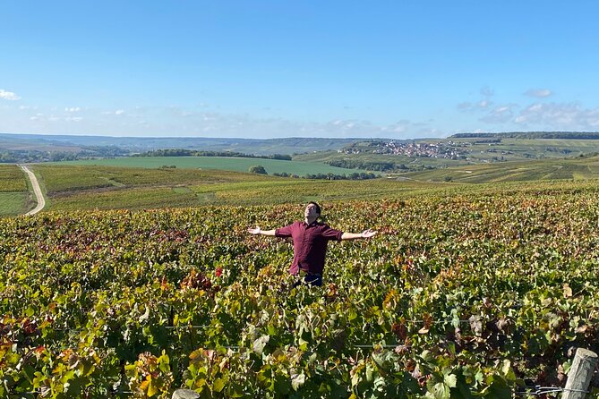 Exclusive Champagne Cellars & Dom Perignon Vineyards tour - Walking the Avenue de Champagne