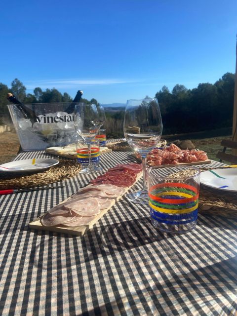 Exclusive Penedes wine tour & brunch in the vineyard - Getting to Sant Sadurni d’Anoia from Barcelona