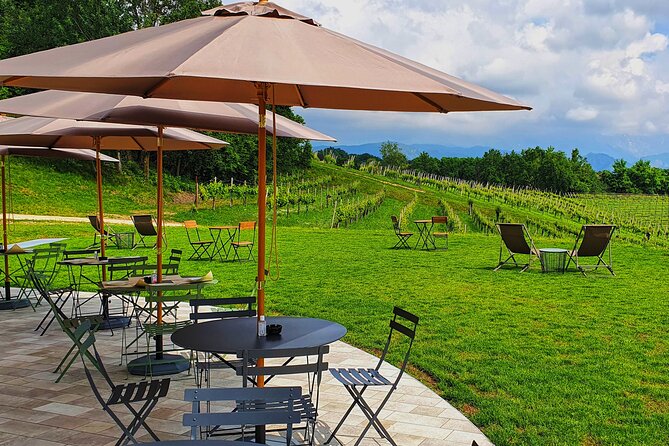 Exclusive Tour of the Vineyards with Visit to the Cellar! - What You Taste at the Table