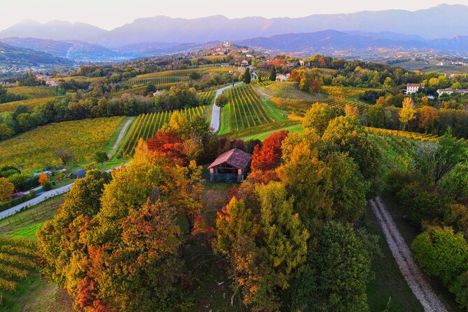 Exclusive Tour of the Vineyards with Visit to the Cellar! - Arriving at San Pietro di Feletto