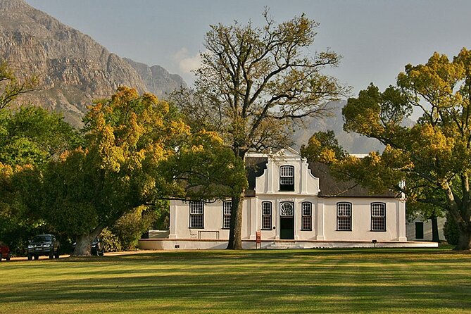 Experience 16 Wine Tasting & 6 Cheese Pairing across 3 Vineyards - Why this Cape Town wine day works