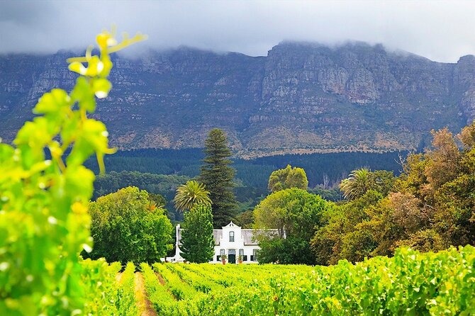 Experience 16 Wine Tasting & 6 Cheese Pairing across 3 Vineyards - Sixteen wines and six cheeses: what the price covers