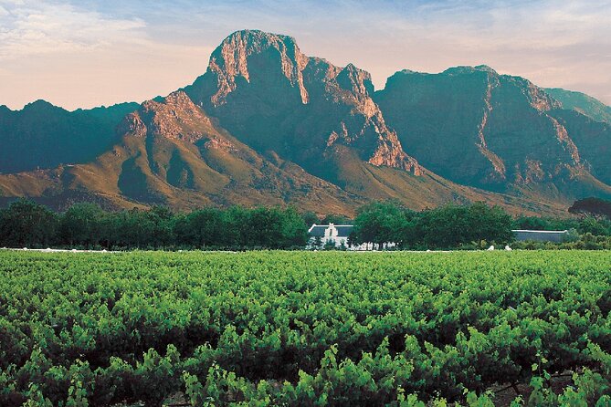 Experience 16 Wine Tasting & 6 Cheese Pairing across 3 Vineyards - The scenery is part of the experience