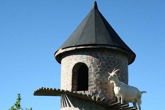 Experience 16 Wine Tasting & 6 Cheese Pairing across 3 Vineyards - Who should book this private outing?