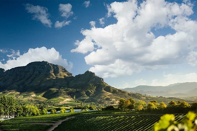 Experience 16 Wine Tasting & 6 Cheese Pairing across 3 Vineyards - Fairview: cheese first, wine second