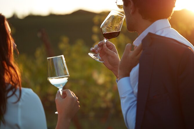 Experience Emilian Wines at Bologna Vineyard Vista - Key points to know before booking