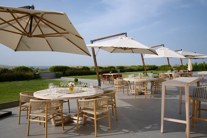 Experience Emilian Wines at Bologna Vineyard Vista - The Deluxe tasting: vineyard time and five wines