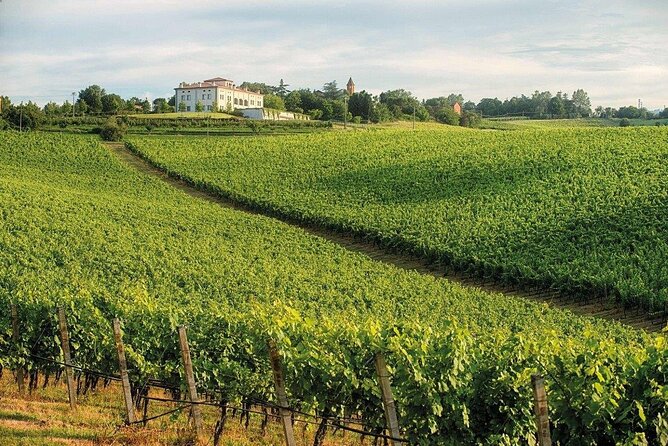 Experience Emilian Wines at Bologna Vineyard Vista - Starting at Castel San Pietro Terme