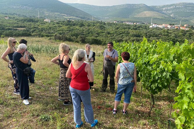 Family-run Vineyard Tour & Award Winning Wine Tasting/Delicacies - Inside the Cellar: Fermentation Tanks and Homemade Spirits