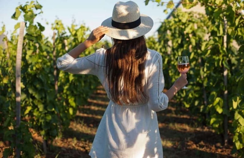 Florence: Chianti Vineyards Tour with Wine Tasting & Dinner - Key points at a glance