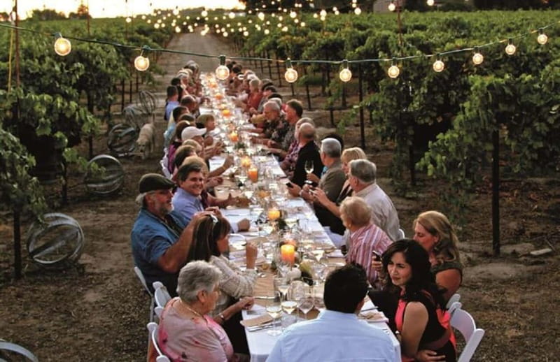 Florence: Chianti Vineyards Tour with Wine Tasting & Dinner - Dining under candles, torches, and the Tuscan sky
