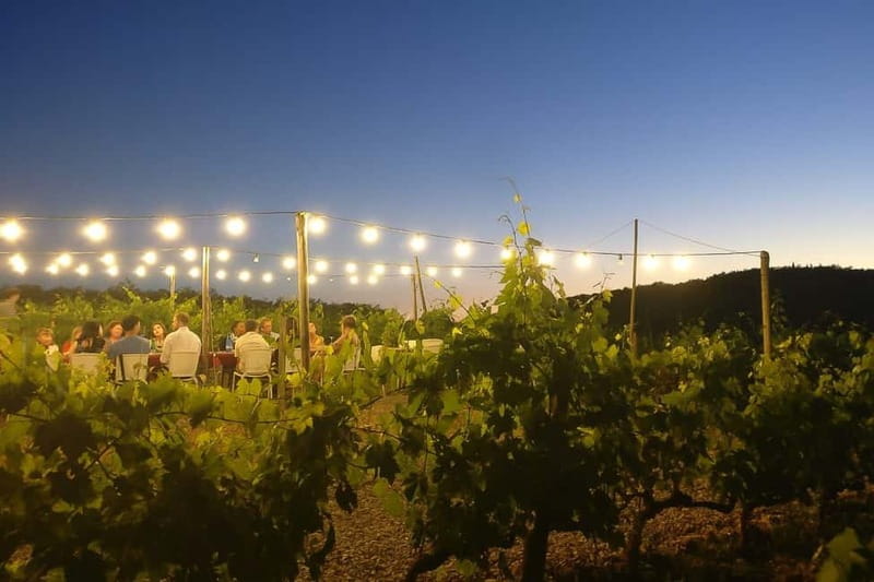 Florence: Chianti Vineyards Tour with Wine Tasting & Dinner - What happens if the weather turns?