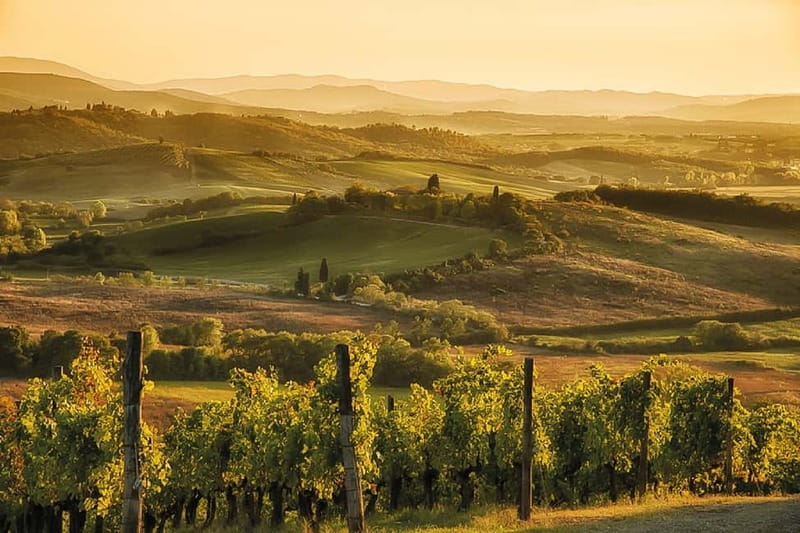 Florence: Chianti Vineyards Tour with Wine Tasting & Dinner - Who will enjoy this evening most?