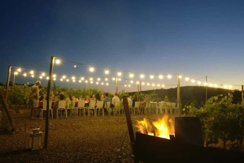 Florence: Chianti Vineyards Tour with Wine Tasting & Dinner - Practical advice before you go
