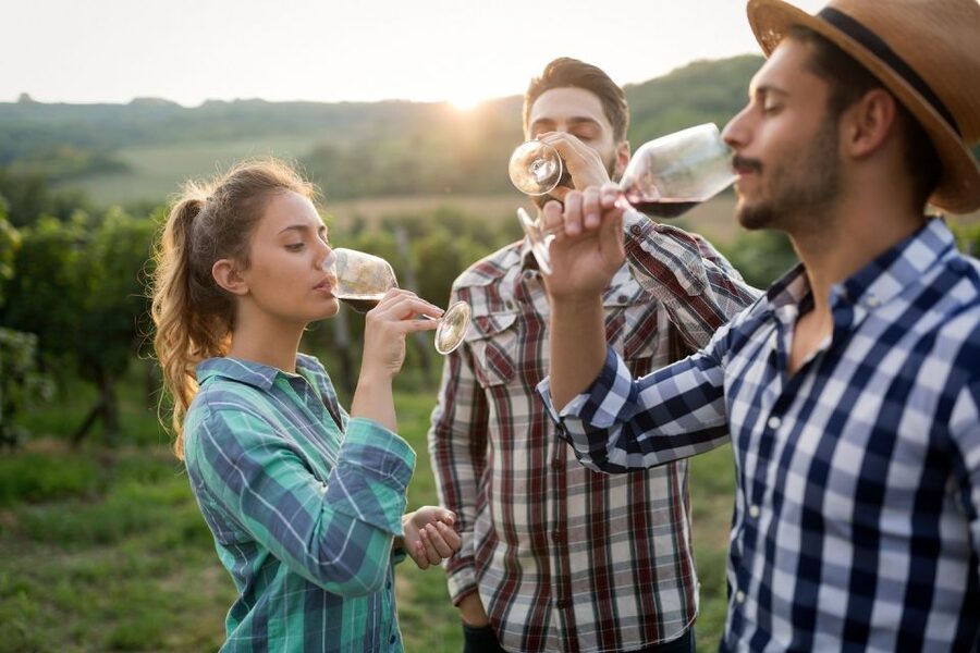 Florence: Private full day tour to Chianti Wine Region - Key points at a glance