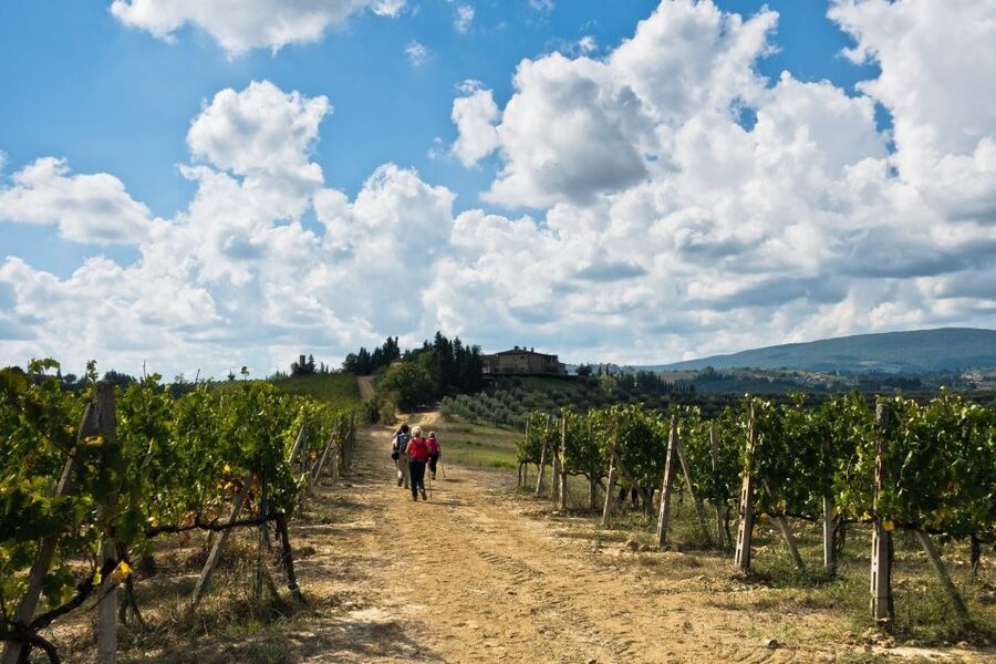 Florence: Private full day tour to Chianti Wine Region - Leaving Florence for the Chianti hills