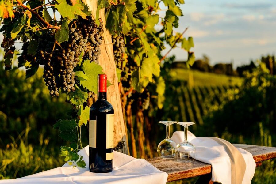 Florence: Private full day tour to Chianti Wine Region - Panzano brings village time and wine options