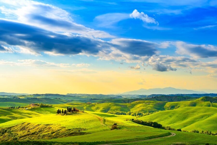 Florence: Private full day tour to Chianti Wine Region - Choosing wineries without driving yourself