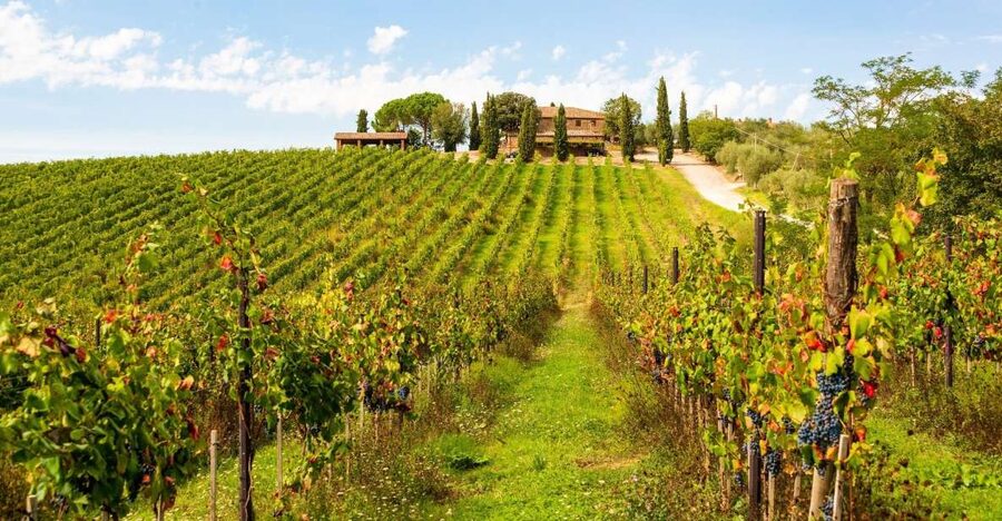 Florence: Private full day tour to Chianti Wine Region - Who should book this Chianti day?