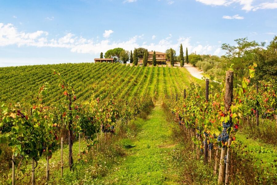 Florence: Private full day tour to Chianti Wine Region - Greve offers the easiest first stop