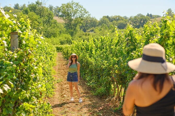 Florence: Private Half-Day Chianti Tour and Wine Tasting Optional - Key points to know before booking