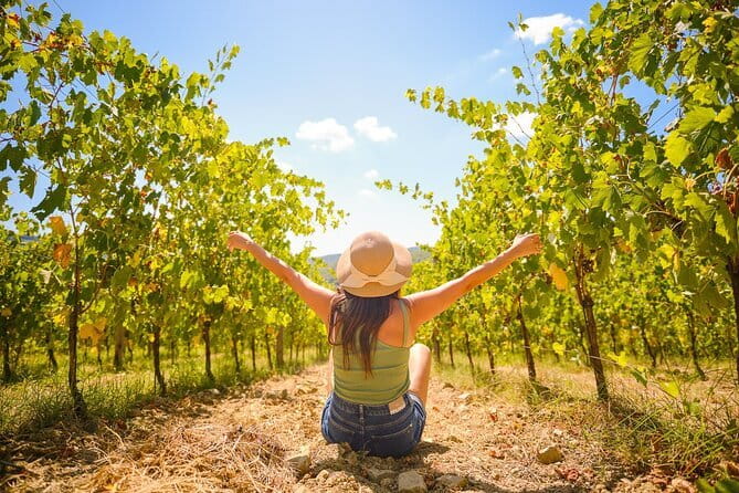 Florence: Private Half-Day Chianti Tour and Wine Tasting Optional - Greve in Chianti for one unhurried hour