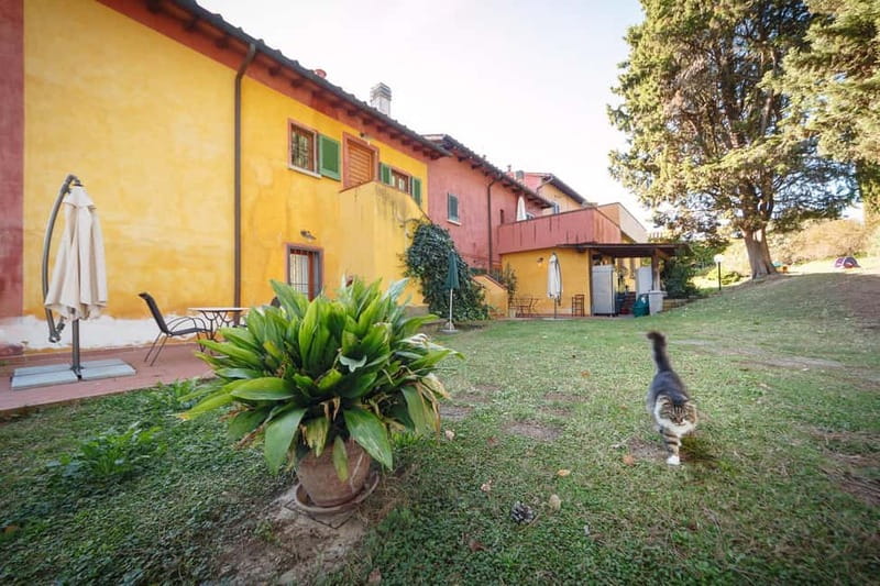 Florence: Wine Tasting at a Vineyard With a Local Winemaker - Key points at a glance
