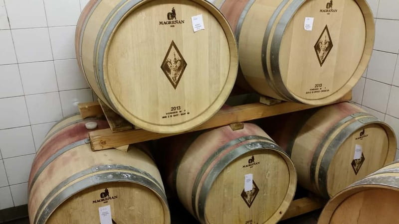 Florence: Wine Tasting at a Vineyard With a Local Winemaker - Food pairings that make the visit last longer