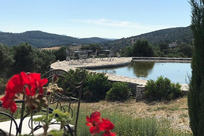 Food and Wine pairing Dinner at Karnas Vineyards Bodrum - A rosé welcome among the vines