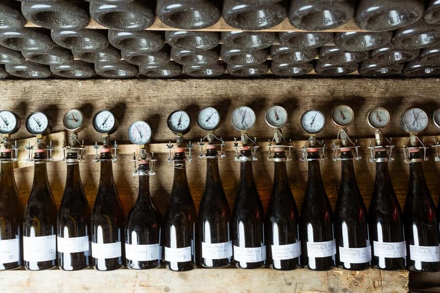 Franciacorta: visit the vineyard, cellar, and enjoy an Edea To tasting - What the Mirabella Experience Really Includes
