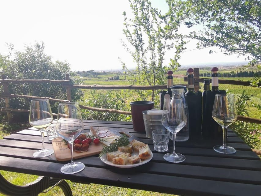 Frascati: 3-Hour Wine and Oil Tasting with Lunch/Dinner - What makes this Frascati tasting worth your time